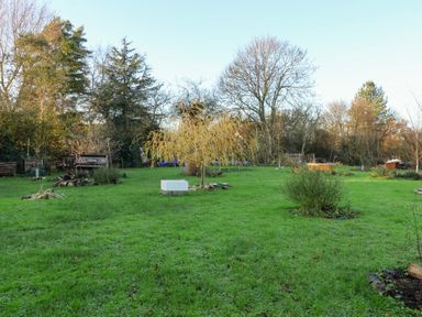 A garden with trees and grass at The Hare & the Bumblebee Cottage