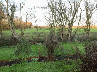 A garden with trees and grass at The Hare & the Bumblebee Cottage 