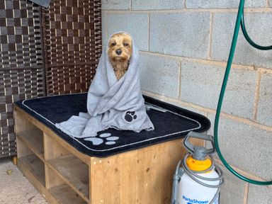 A dog wrapped in a blanket on a grooming table at Captains Barn Cadeleigh near Tiverton