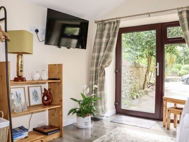 A living room with a television and shelf at Lannlyvri Lodge in Lanlivery near Lostwithiel