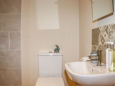 A bathroom with a toilet and sink at Lannlyvri Lodge in Lanlivery near Lostwithiel