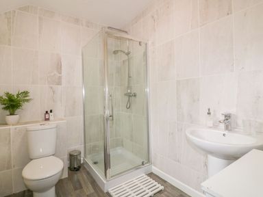 A bathroom with a shower, toilet, and sink at Camellia Cottage in Bodmin