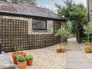 An outdoor area with stone wall and plants at Camellia Cottage in Bodmin