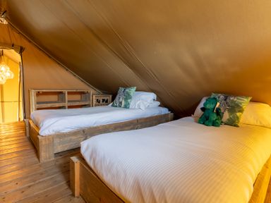 A tent with twin beds and shelves at Kruger in Penrith