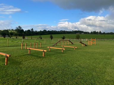 A dog agility course with various obstacles at Scaféll (Pet) Penrith