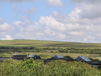 A view of fields with buildings and cows in the background at 65 Benasa Lodge Winnard's Perch near St Columb Major