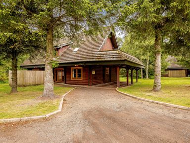 A cabin exterior with a driveway and trees at Eagle Spa Plus in Dundee