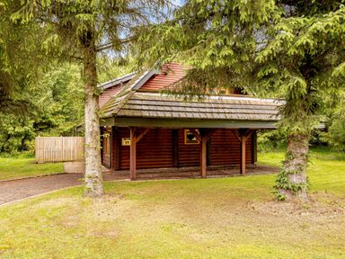 A cabin surrounded by trees at Eagle Spa Plus in Dundee