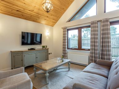 A living room with a television, sofa, and coffee table at Byron Premier Spa (Pet) Dundee