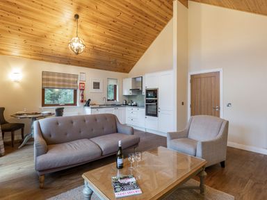 A living room with a sofa and coffee table at Byron Premier Spa (Pet) in Dundee