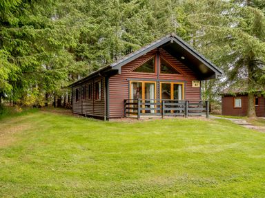 A cabin surrounded by trees at Barnard Lodge (Pet) Dundee