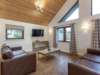 A living room with a TV and a coffee table at Raeburn Premier Spa (Pet) Dundee