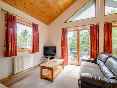 A living room with a television and sofa at Osprey Lodge in Dundee