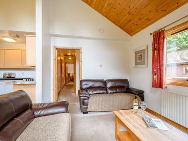A living room with a sofa and a table at Osprey Lodge in Dundee