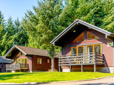 Two cabins with decks and surrounding trees at Osprey Lodge (Pet) Dundee