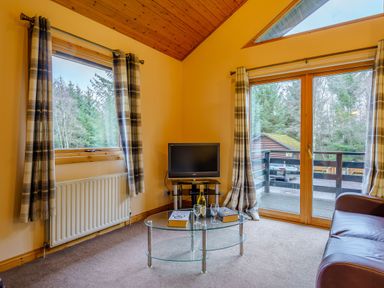 A living room with a television and coffee table at Osprey Lodge (Pet) Dundee