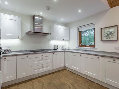 A kitchen with cabinets and a sink at Galbraith Premier Spa (Pet) in Dundee