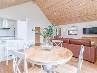 A living room with a table and chairs and couch at Galbraith Premier Spa (Pet) Dundee
