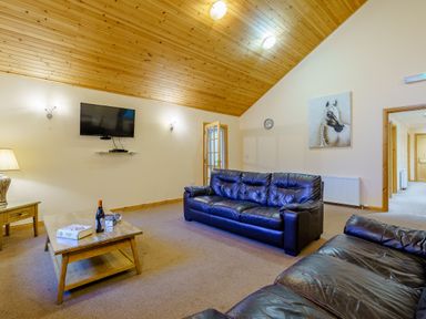 A living room with a television and sofa at Osprey Spa Plus in Dundee