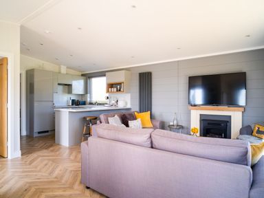 A living room with a television and kitchen area in Goldfinch Waltham