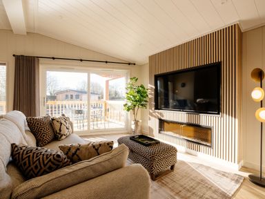 A living room with a sofa, television, and potted plant at Luxury Boutique Retreat Pet in Waltham
