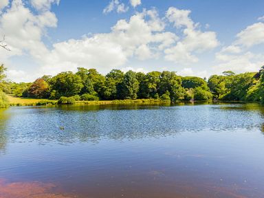 A scenic view of a lake surrounded by trees at Aubyn Lodge Spa in Praze-An-Beeble