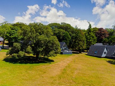 An outdoor scene with cabins and a tree at St Austell Lodge Spa in Praze-An-Beeble
