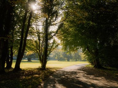 A path winding through trees with sunlight at St Austell Lodge Spa, Praze-An-Beeble