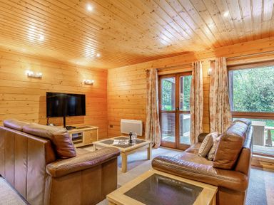A living room with a tv and sofa at Woodland Lodge Spa in Praze-An-Beeble
