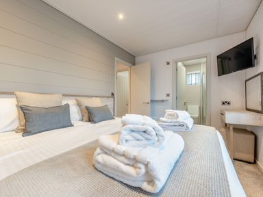 A bedroom with a bed and television at Epic Spa (Roof Terrace) (Pet) Laugharne
