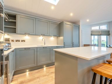 A kitchen with cabinets and appliances at Apex Spa (Pet) Laugharne
