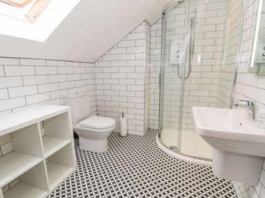 A bathroom with a shower, toilet and sink at Cae Sam in Pentraeth