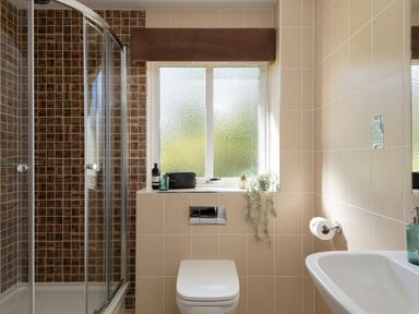 A bathroom with a shower, toilet, and sink at The Allensford (Pet) Slaley