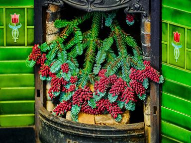 A fireplace with pine cones and wood logs at West Lodge in Kirriemuir