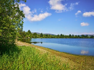 A lake surrounded by trees and grass at West Lodge in Kirriemuir