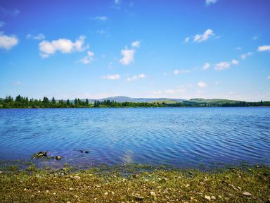 A lake with trees and mountains in the background at West Lodge in Kirriemuir