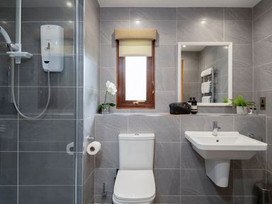 A bathroom with a shower, toilet, and sink at The Derwent in Slaley