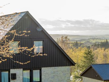A house with a sloped roof and windows at The Hexham (Pet) Slaley