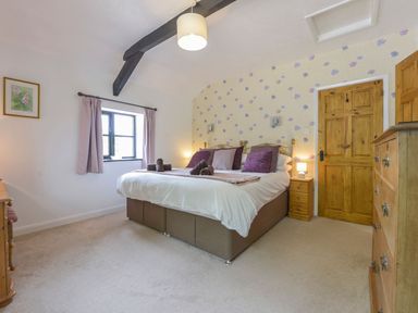 A bedroom with a large bed and wooden furniture at Long Linney in Bideford