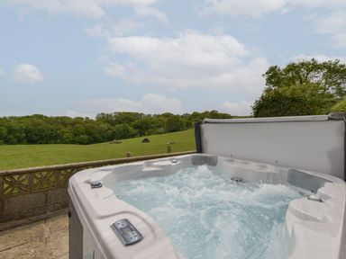 A hot tub with a view of grass and trees at Long Linney in Bideford