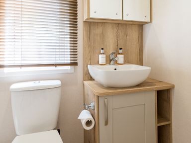 A bathroom with a toilet and sink at Leven (Pet) in Great Ayton