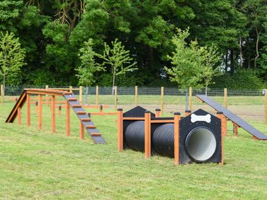 A dog agility course with ramps and tunnels in a fenced area at Roseberry in Great Ayton