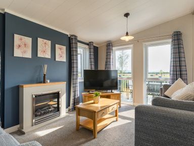 A living room with a fireplace and television at Roseberry (Pet) in Great Ayton