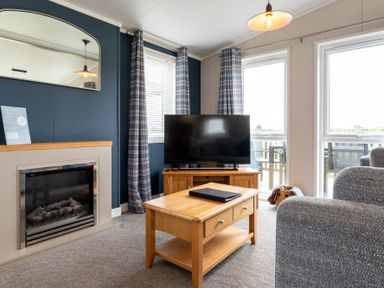 A living room with a television and a fireplace at Roseberry (Pet) in Great Ayton