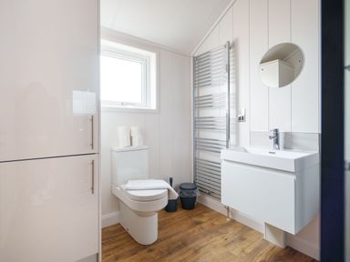 A bathroom with a toilet, wash basin and mirror at The Grays in North Berwick