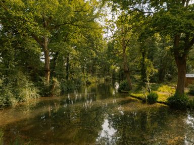 A scenic view of a river surrounded by trees at Hurricane Lodge in Fair Oak