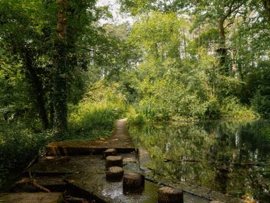 A forest path alongside a body of water at Hurricane Lodge in Fair Oak