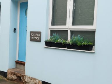 A blue door and a window with plants at Rockfish Cottage in Brixham