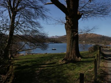 A view of a lake with a boat and trees at High Lake View Lodge White Cross Bay near Troutbeck Bridge