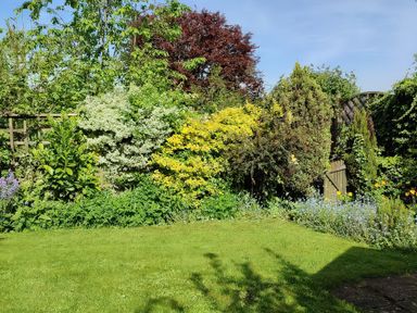 A garden with various plants and a fence at Ostlers in Burford